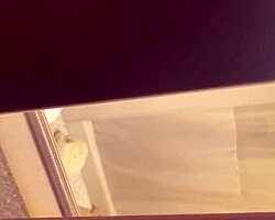 यह सीधा लड़का फिर से क्यों हिलाता है?