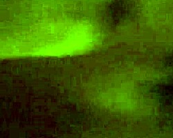 Gaand marna, Andar Hi Chhod Do, Cum Ka Mazaa, Naujawan ladka, Muh Ka Kaam, शौकिया चुदाई, गांड में मज़ा